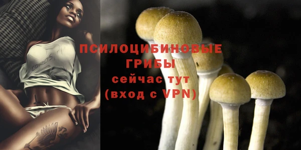 каннабис Баксан