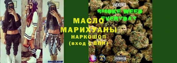 индика Каменногорск